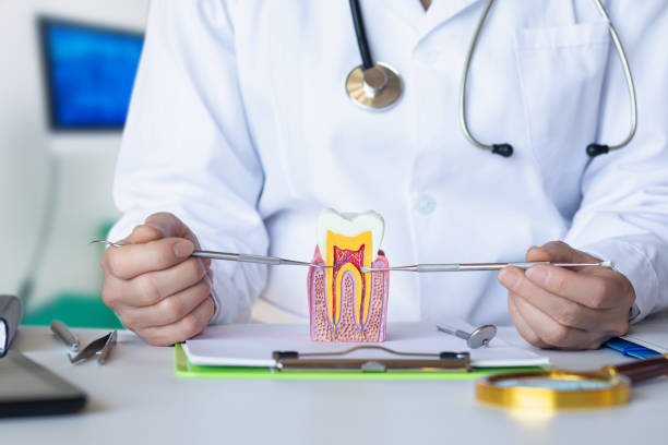 Best Emergency Treatment for Oral Infections in Petaluma, CA